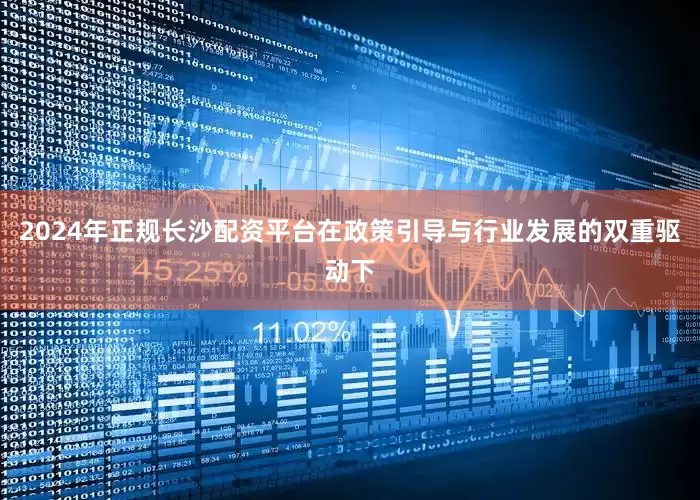2024年正规长沙配资平台在政策引导与行业发展的双重驱动下