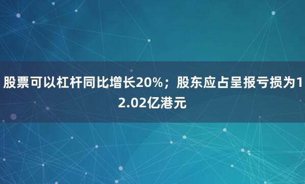 股票可以杠杆同比增长20%；股东应占呈报亏损为12.02亿港元